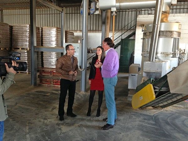 El PSOE destaca el impulso de la Junta a las renovables con el respaldo a 600 proyectos de biomasa en Huelva