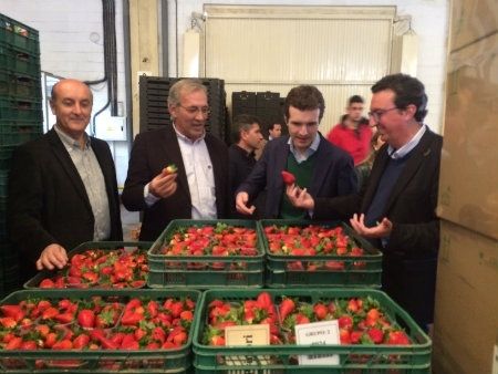 El PP apoyará a los sectores productivos como motores de riqueza y empleo