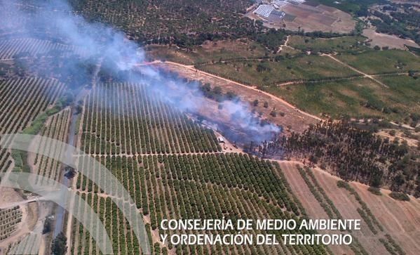 Controlan un incendio declarado en San Bartolomé de la Torre