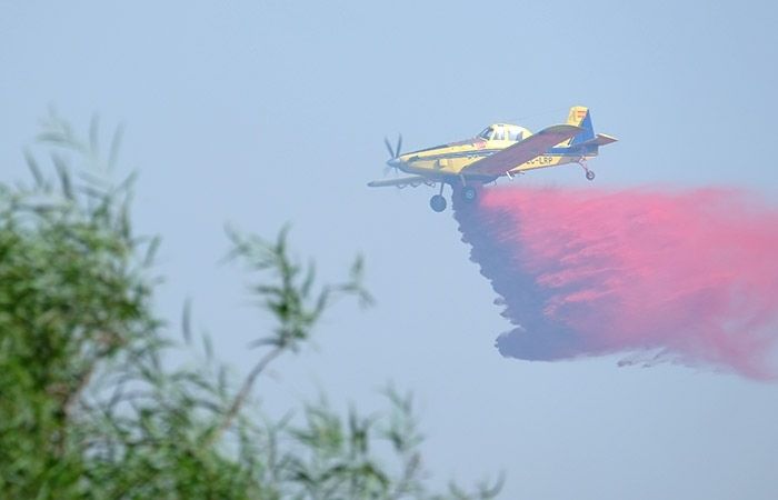 Estabilizado el incendio en el paraje de El Rincón