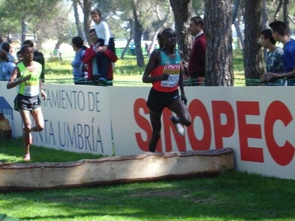 Kenia reina en Punta