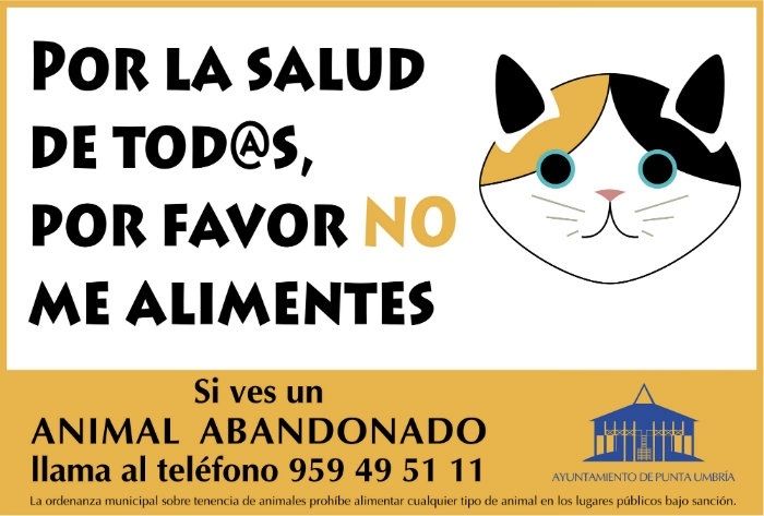 El Ayuntamiento de Punta Umbría recuerda que multará a los vecinos que alimenten a gatos callejeros