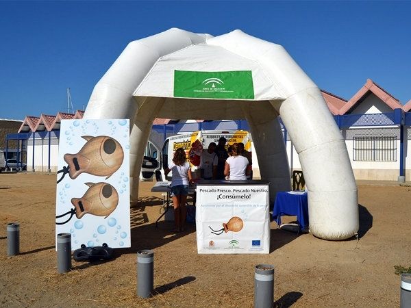 El Rompido se une a la campaña de sensibilización sobre el daño que produce la captura de inmaduros