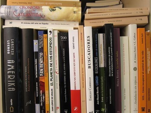 La venta de libros cae entre un 20-25% este verano