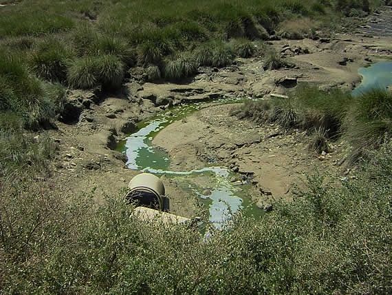 La Mesa de la Ría se muestra 'estupefacta' ante el recurso de Fertiberia