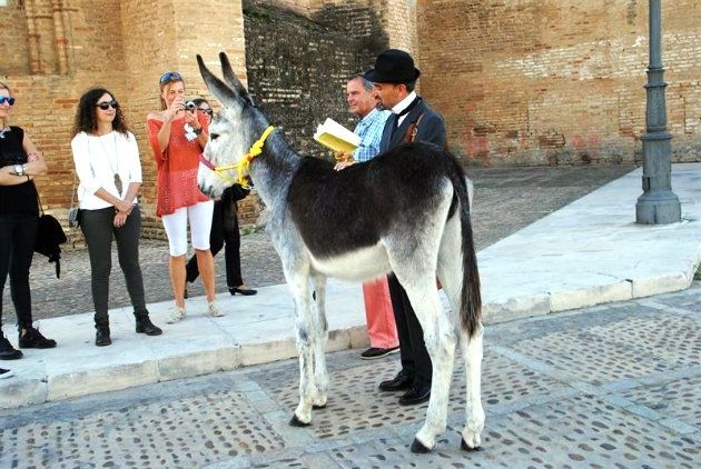 Proponen vendimiar con 'Platero' en Moguer con una ruta para conocer las costumbres de la época