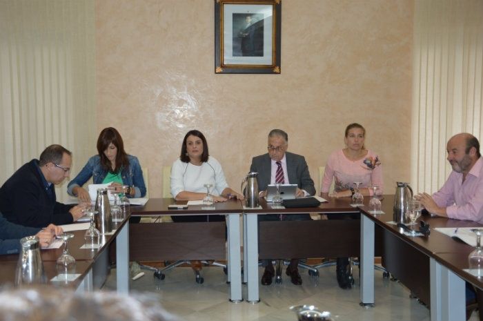 El subdelegado afirma que es la Junta quien debe declarar la emergencia sanitaria en el caso de la procesionaria