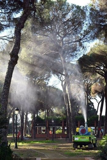 La Junta realizará una fumigación terrestre en la comarca de Doñana contra la procesionaria