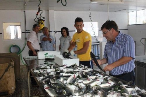 Visita institucional a las instalaciones de la empresa de acuicultura ayamontina Maresa