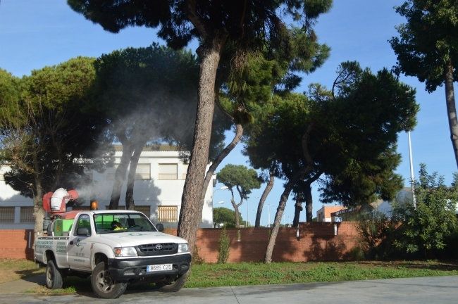 Punta Umbría se une a la lucha para acabar con la procesionaria