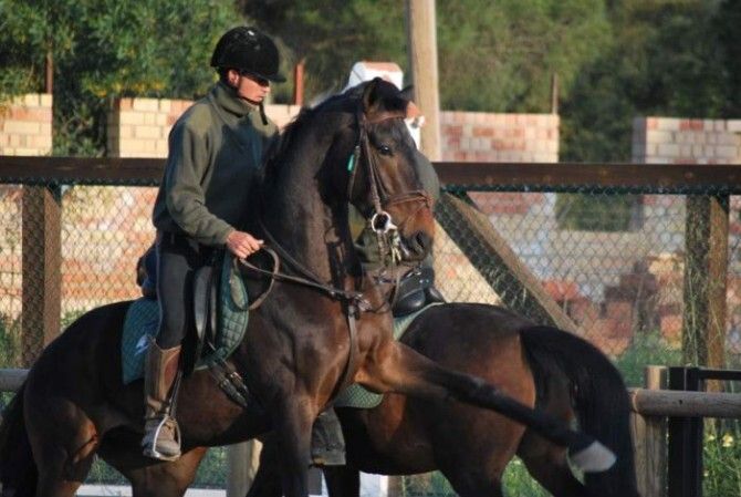 Formades ofrece este año formación a 100 alumnos a través de ocho cursos