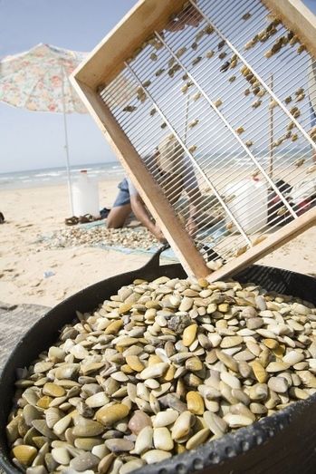 Los coquineros alertan de la situación y piden a la Junta ayudas para afrontar los meses de veda