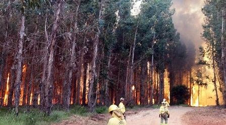 La investigación del incendio de Fuente de la Corcha apunta a una astilladora como origen del fuego