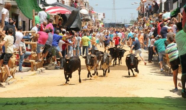 Los encierros infantiles, gran novedad de unas fiestas de San Juan que serán pregonadas por Jesús Quintero