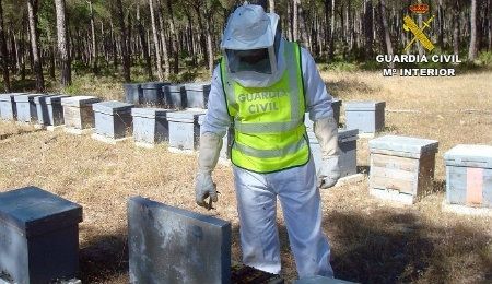 La Guardia Civil inicia una Campaña de Inspecciones de Instalaciones Apícolas