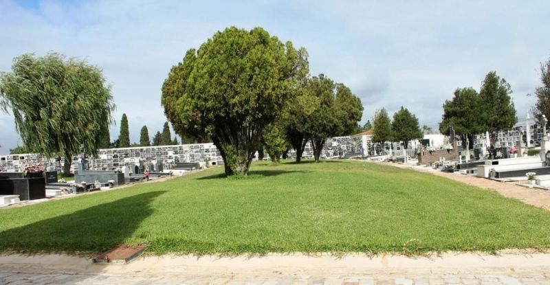 La familia de un anarquista fusilado recurrirá al Defensor del Pueblo para la exhumación de sus restos