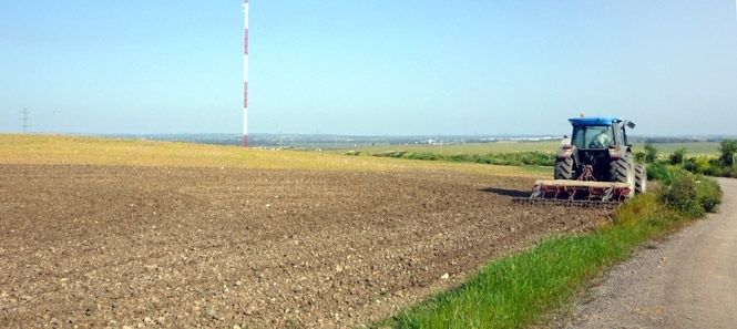 El Ayuntamiento fecha para octubre la preparación del proyecto 'La Asomada' de emprendimiento agrícola