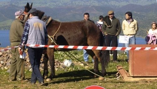 El runrún: El ladrón de la furgo de Seur