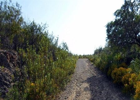 Diputación invierte 275.000 euros en la mejora de dos caminos rurales merced al remanente de Tesorería