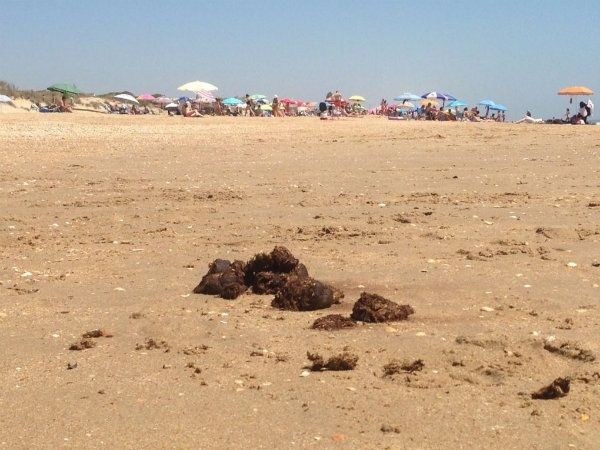 El runrún: Tres burros por la A-49
