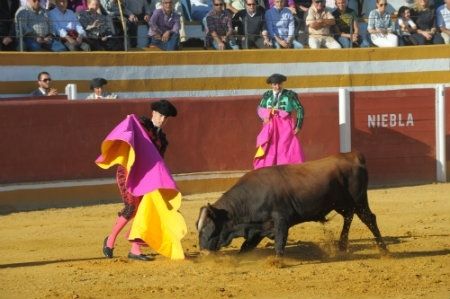 La Feria de 'Tosantos' de Niebla contará con un festejo taurino