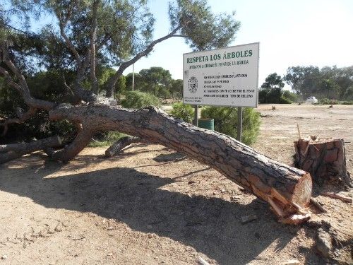 El Ayuntamiento de Palos paraliza el proyecto Redescubrir de Diputación por carecer de licencia de obras