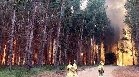 Diez personas investigadas en lo que va de año por su presunta relación con la autoría de incendios forestales