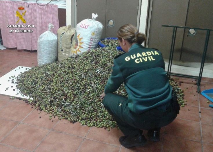 La Guardia Civil recupera 500 kilos de aceitunas tras sorprender a dos personas robando en una finca de Bonares