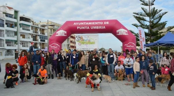 Carrera solidaria de perros en Punta Umbría