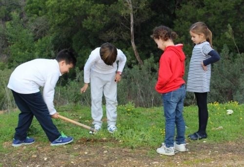 Los alumnos del CEIP Tierno Galván de Corrales plantan bellotas junto al colegio