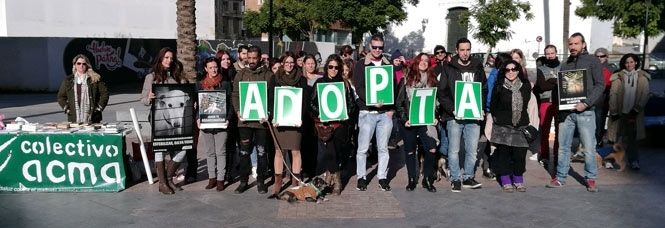 La capital acoge una concentración contra 'la lacra del abandono y el maltrato de animales'
