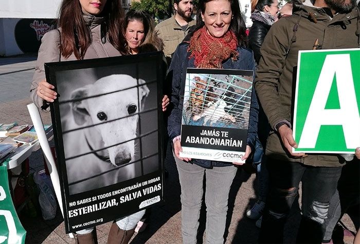 La capital acoge una concentración contra 'la lacra del abandono y el maltrato de animales'