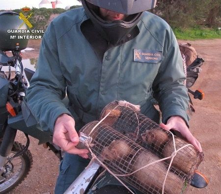 Sorprenden a dos personas que estaban cazando conejos de forma ilegal en un paraje natural de Huelva