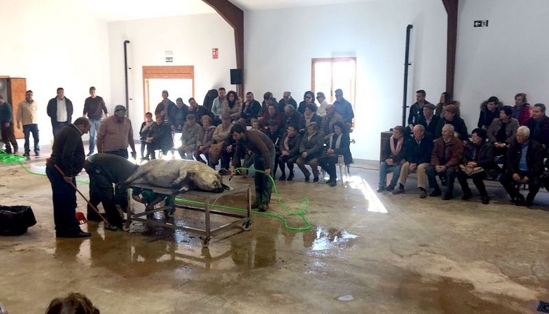 La Diputación pone en marcha una nueva edición de las jornadas divulgativas de la matanza tradicional