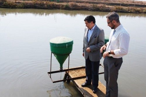 Barrero señala a la acuicultura como un sector “ejemplar” en innovación y sostenibilidad