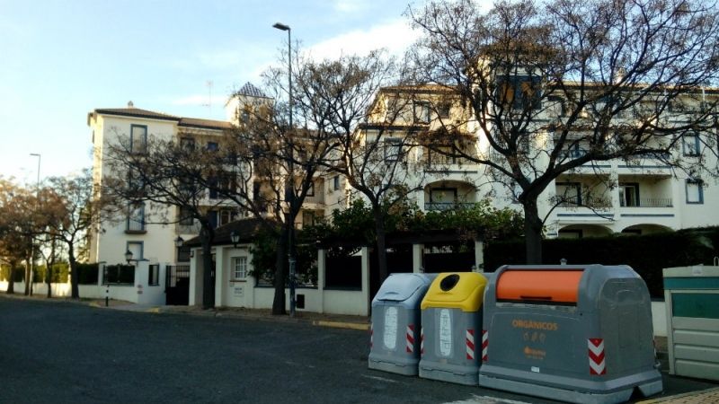 No a la tala de árboles en varias calles de Isla Canela
