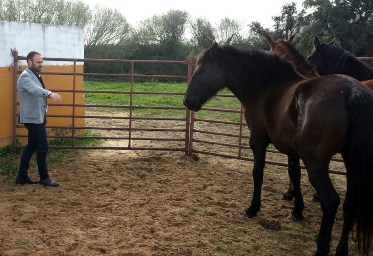 La Junta cede once caballos a la asociación El Burrito Feliz para darles un “último relincho” digno