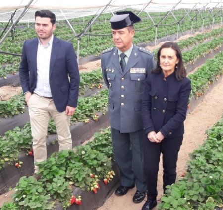 La campaña agrícola suma 40 agentes de refuerzo en los municipios donde más se cultivan frutos rojos y cítricos