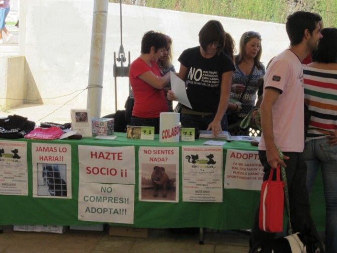 Animales que ofrecen una segunda oportunidad a personas