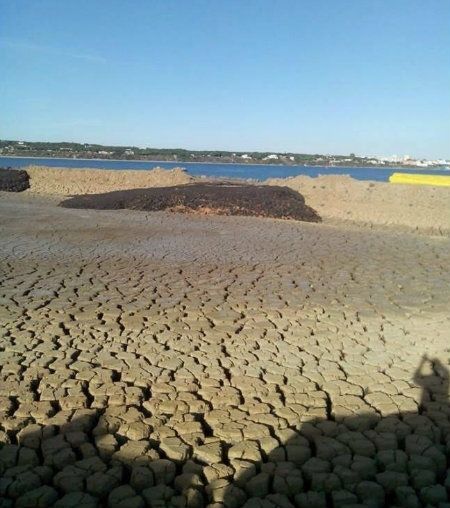 Mesa de la Ría alerta de que una de las muestras de las balsas de dragados en el espigón tiene 'ecotoxicidad'