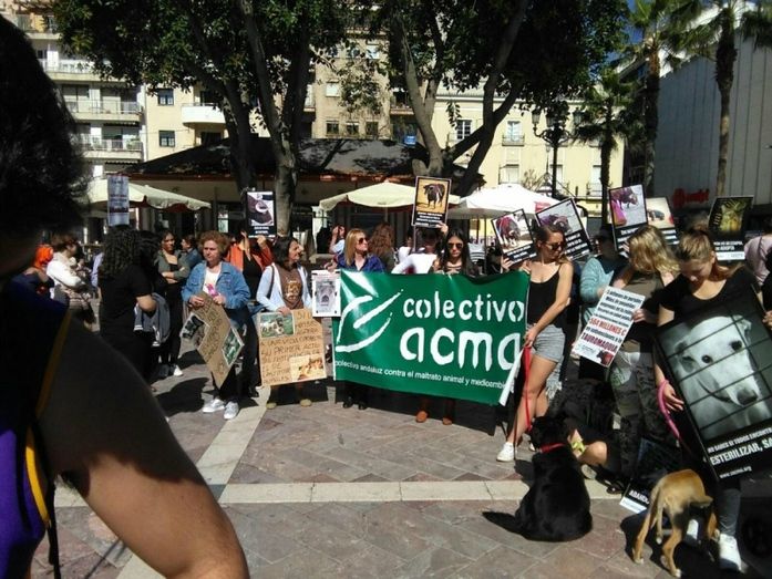 Huelva también marcha para pedir el endurecimiento de las penas ante el maltrato animal