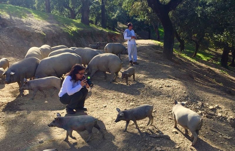 Periodistas extranjeros visitan la provincia en viajes coordinados por el Patronato de Turismo