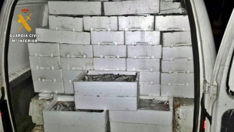 Intervienen en Badajoz 570 kilos de pescado no apto para su consumo procedente de Ayamonte