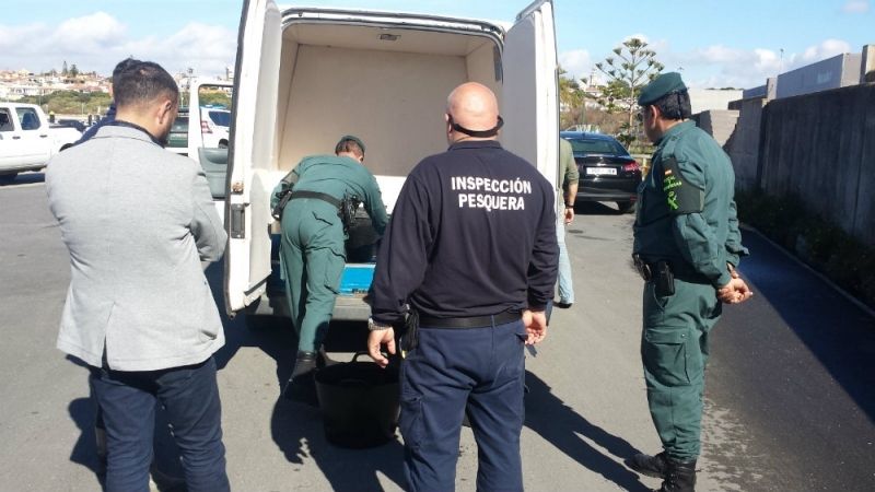 Más de 14.000 kilos de pescado y marisco ‘ilegal’ han sido decomisados en Huelva entre enero y mayo