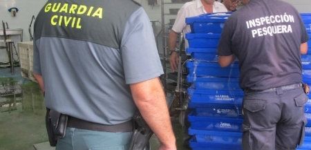 Intervienen cerca de dos mil kilos de pescado sin etiquetar en un almacén de Isla Cristina