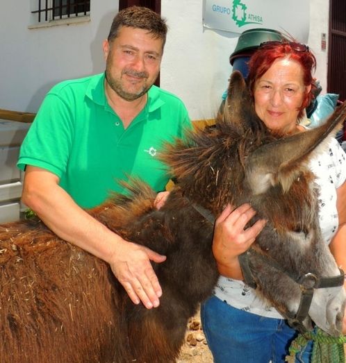 La burra 'Choquera' comienza una nueva vida como bombero en Doñana