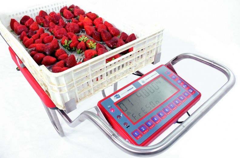 Apleinova, la última tecnología al servicio del sector de frutos rojos