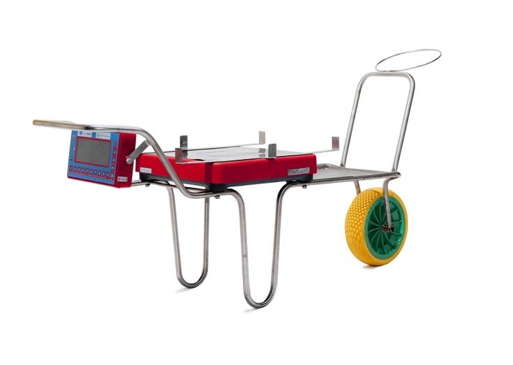 Apleinova, la última tecnología al servicio del sector de frutos rojos