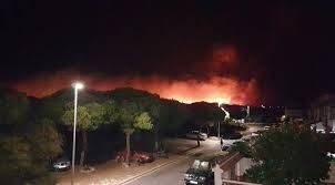 Ocho afectados por el incendio de Moguer presentarán una demanda conjunta para pedir una indemnización por los daños sufridos