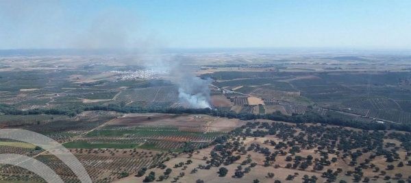 Controlado el incendio forestal en el paraje El Arroyo El Lobo de Chucena
